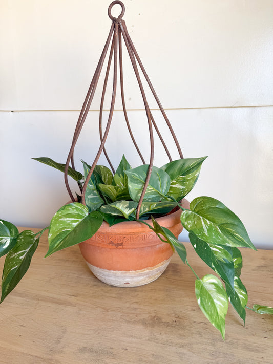 19” Tall Swirl Topiary