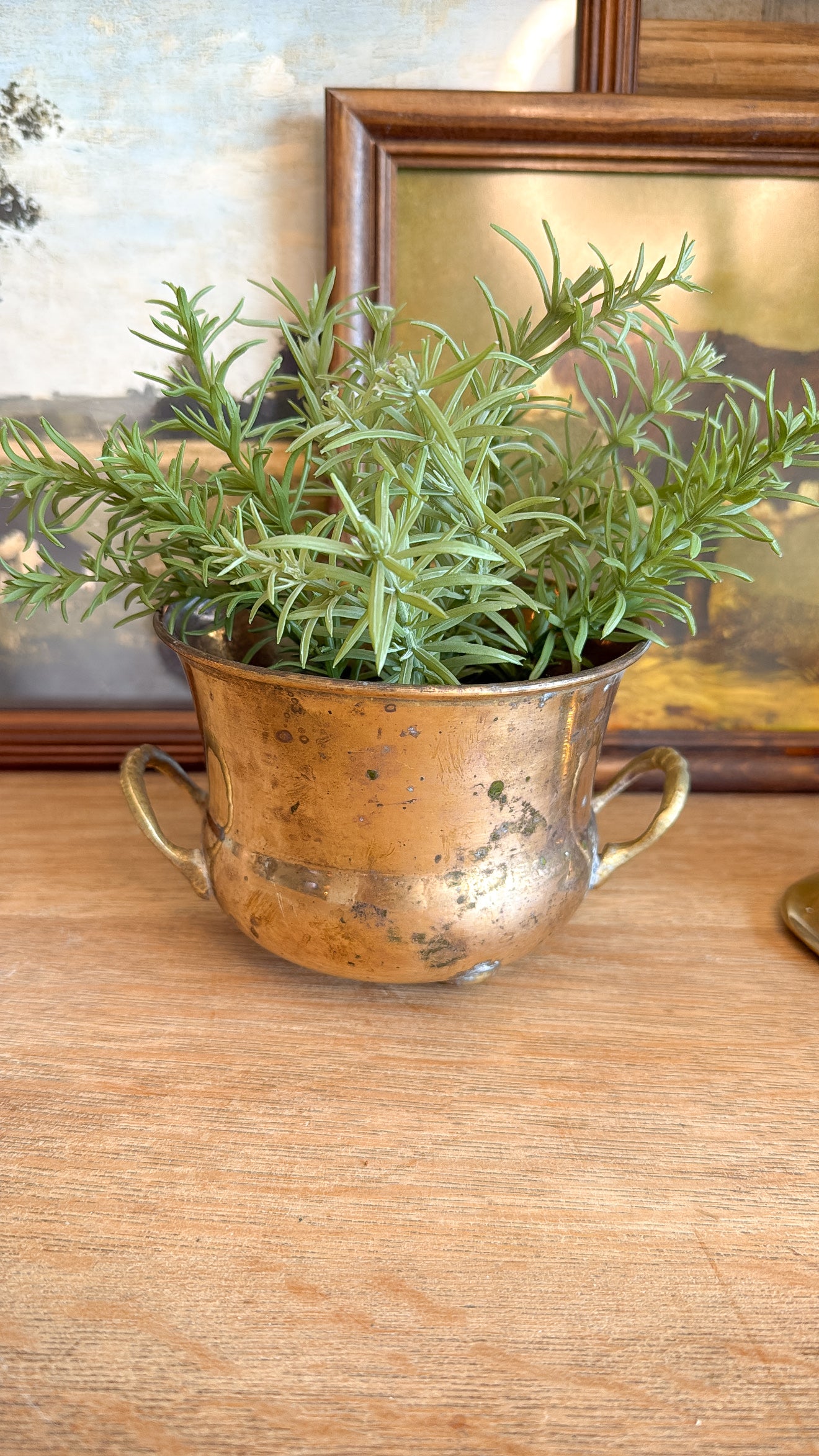 Solid Brass Footed Pot w/ Plant
