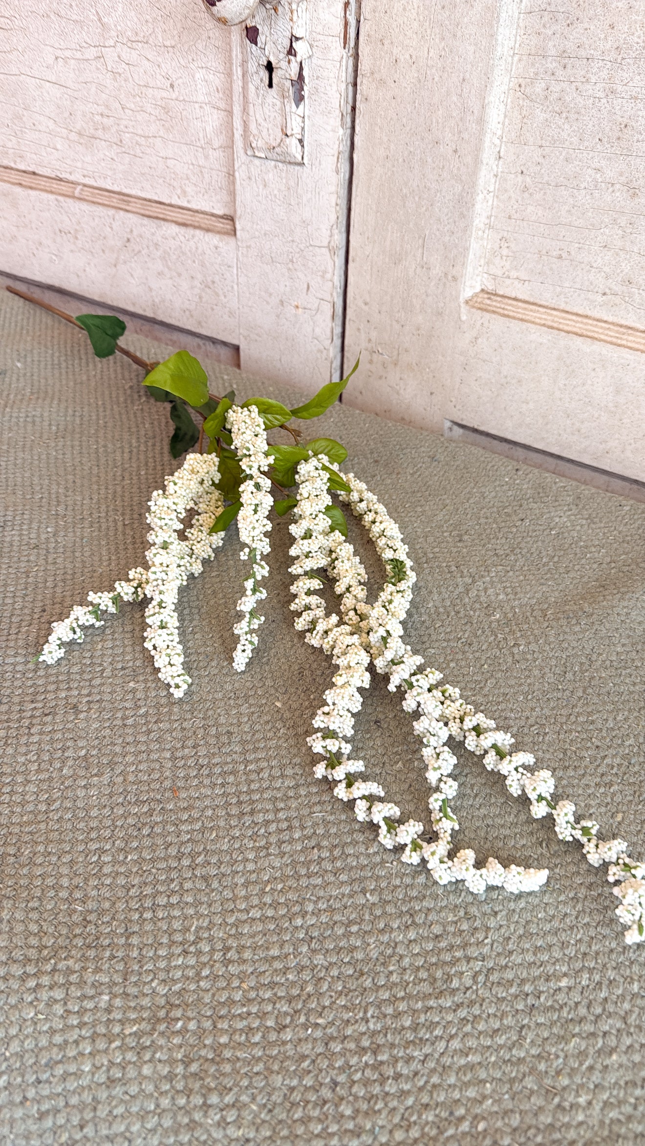 Cream Amaranthus Stem