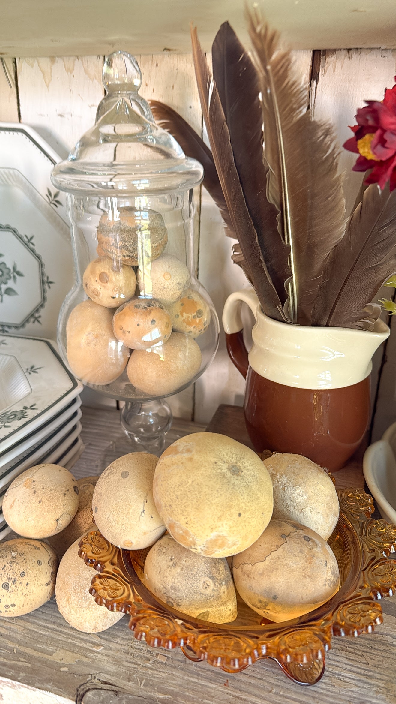 Bundle of 8 Gourd Eggs