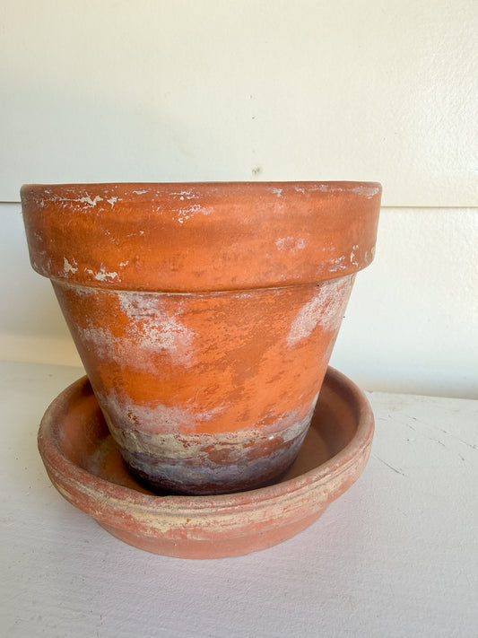 5.75” Tall Aged Terracotta Pot w/ Saucer