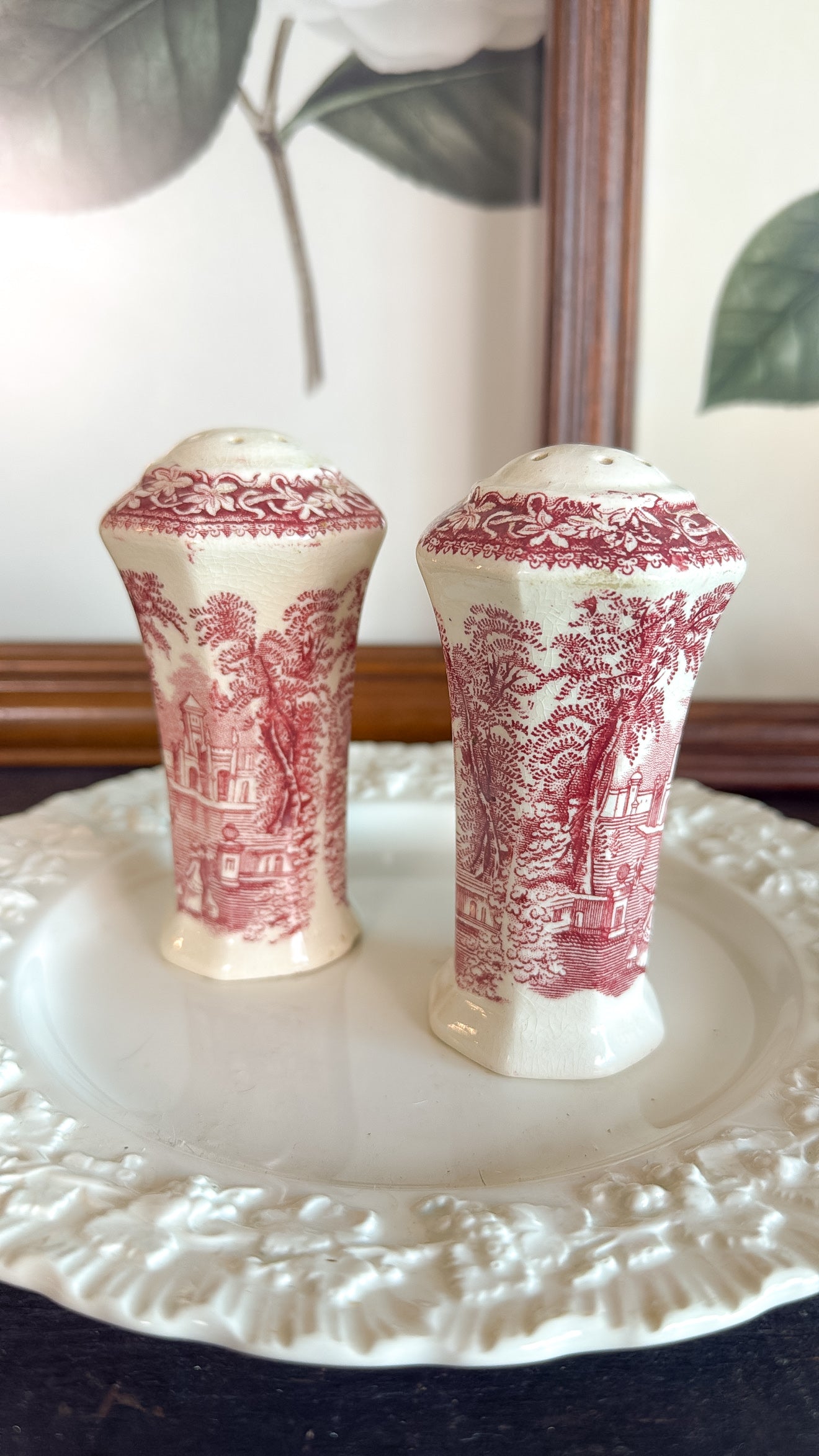 Red & White Ironstone S&P Shakers