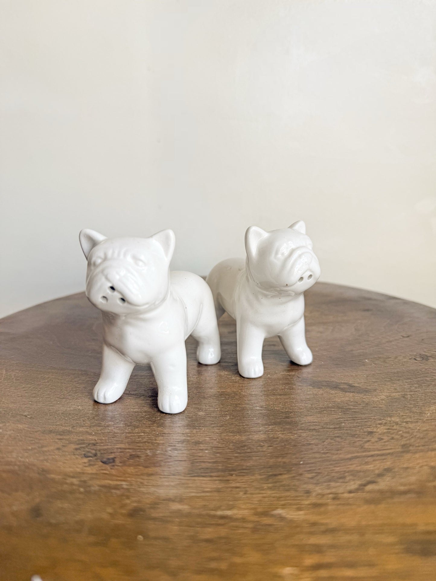 French Bulldog S&P Shakers