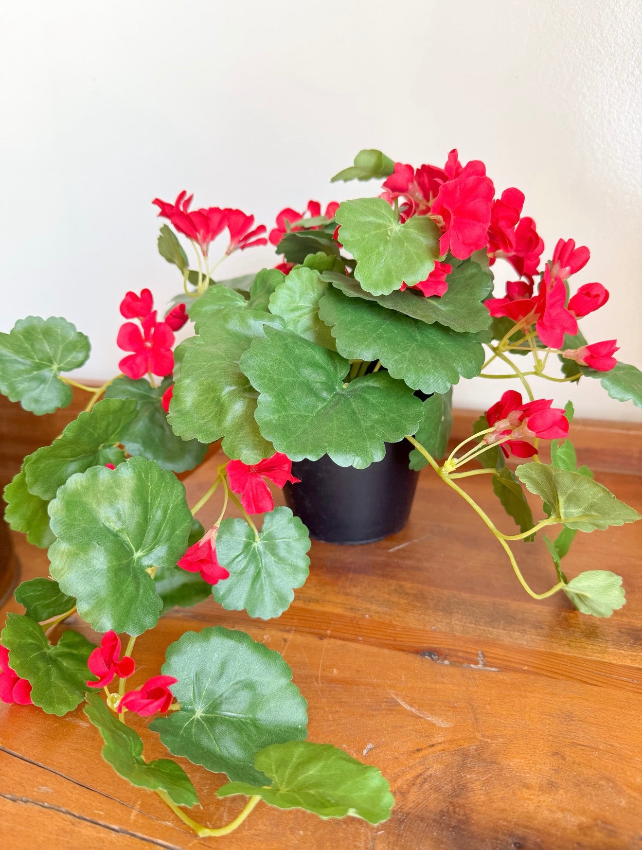 Potted Faux Begonia
