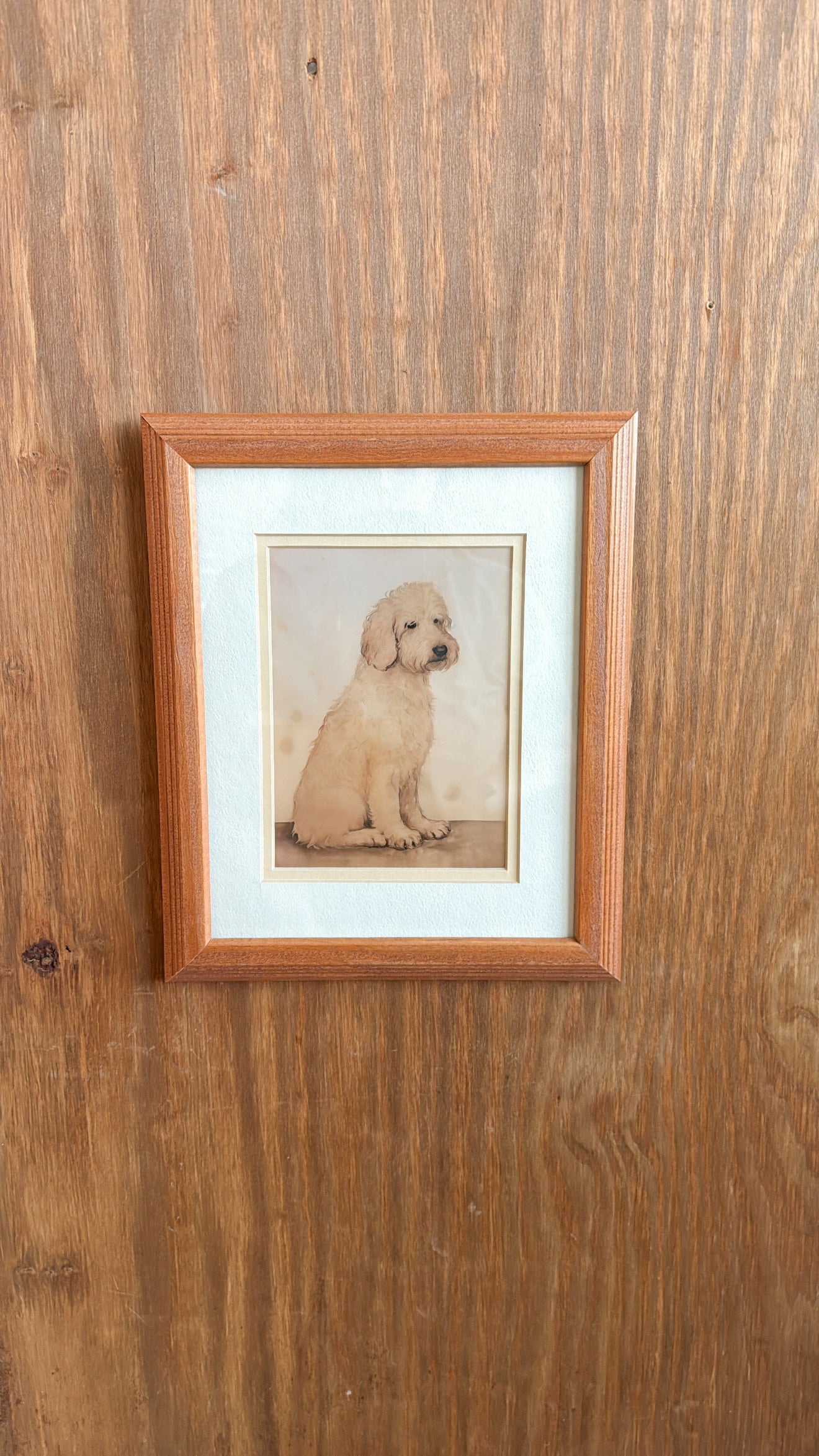 Golden-doodle Matted Print