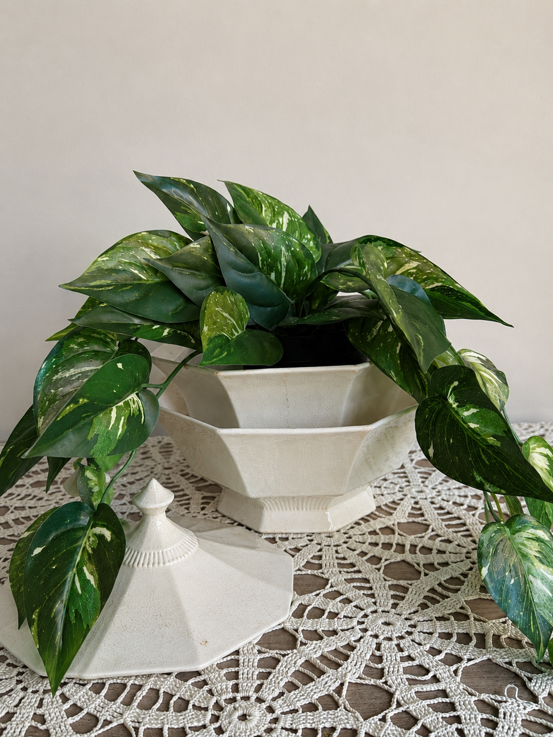 Octagonal Ironstone Tureen