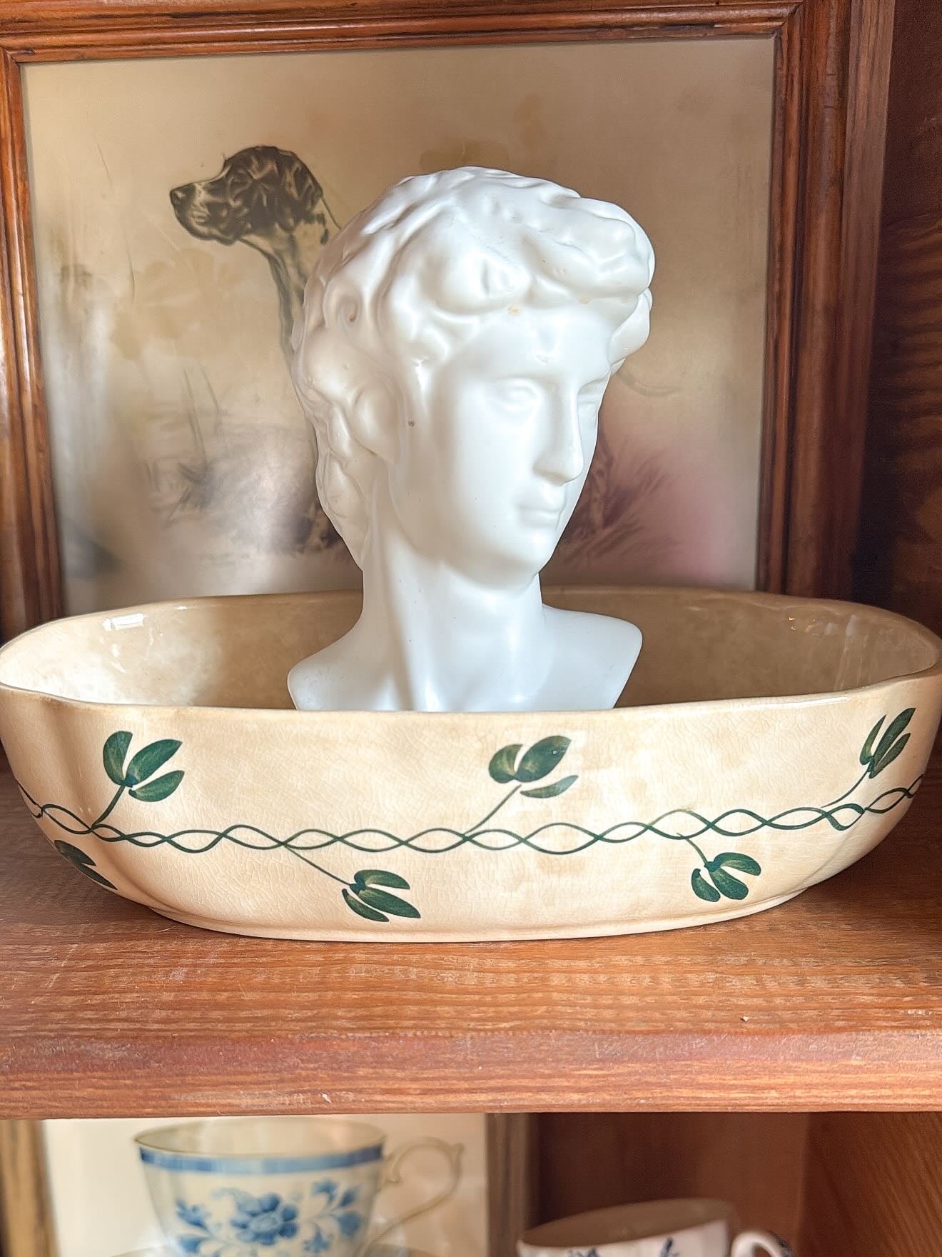 Michelangelo's David Bust