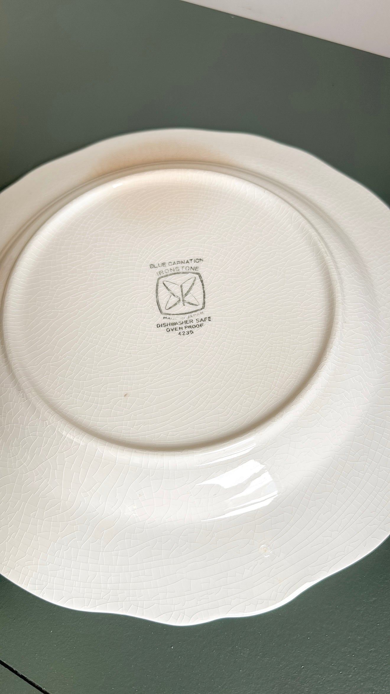 10.5” Blue Carnation Ironstone Plate