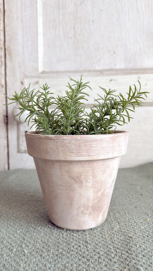 6" Aged Terracotta Pot w/ faux Herb