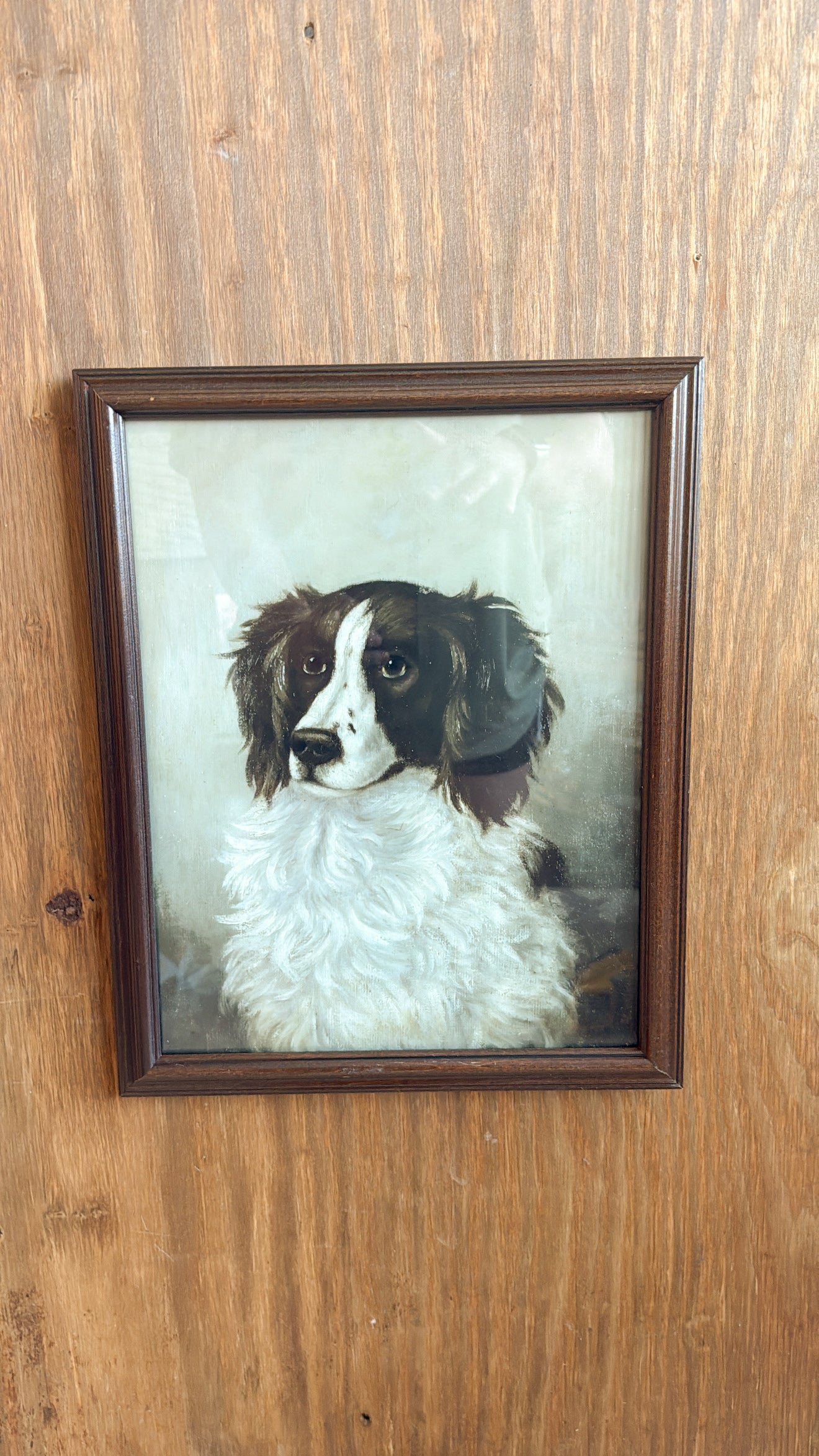 11x14 Vintage Dog Print