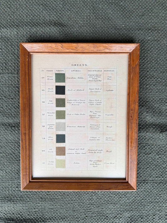 11x14 Vtg. Nature Greens Print