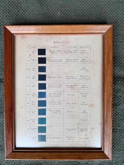 11x14 Vtg. Nature Blue Print