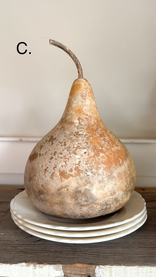 10” Dried Gourd