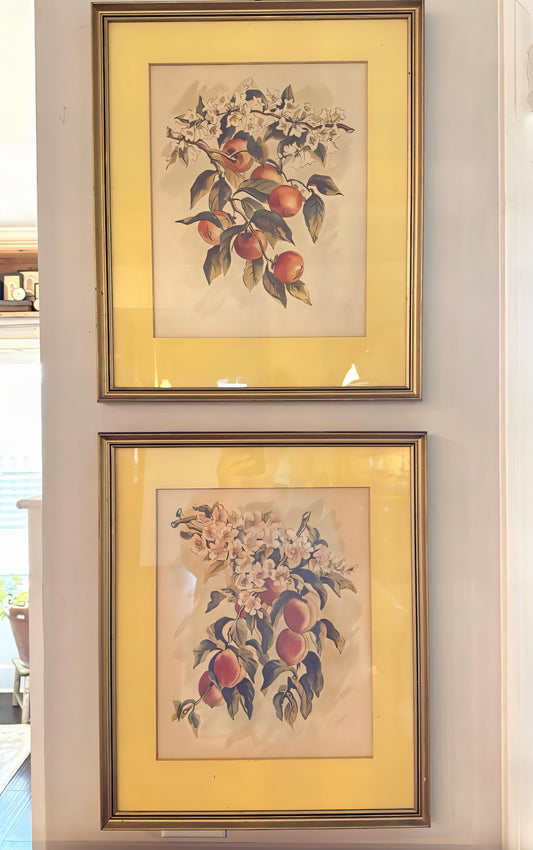 Set of 2 Vtg. Floral Prints