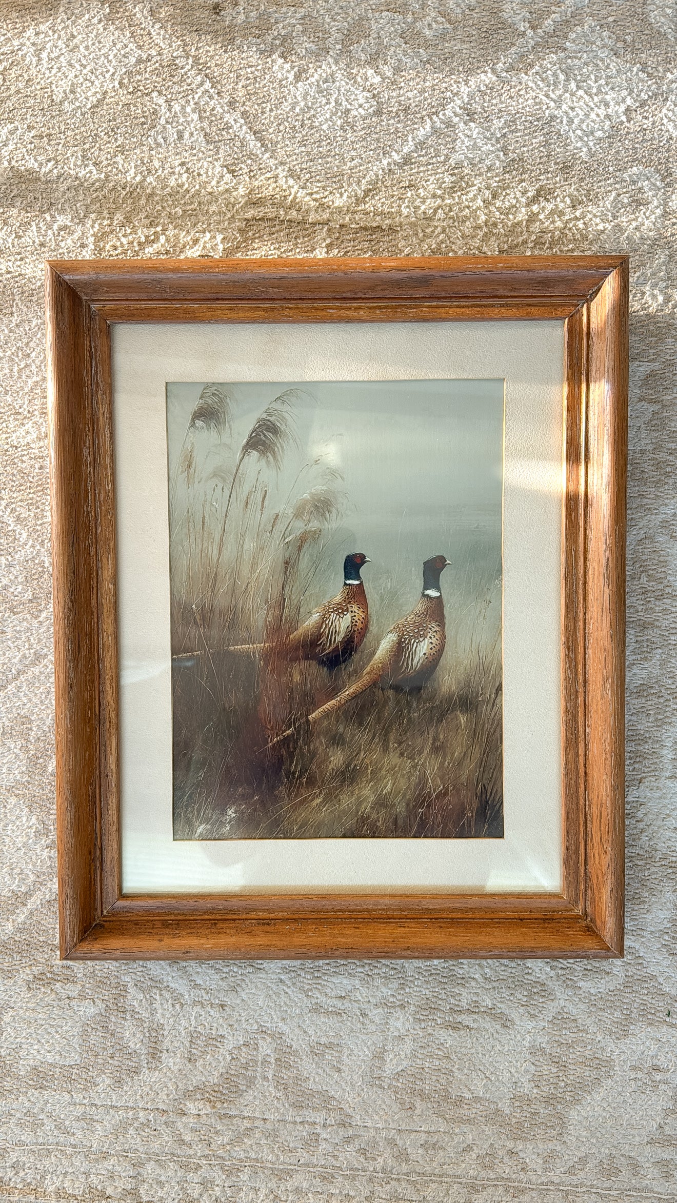 11x14 Pheasants Print