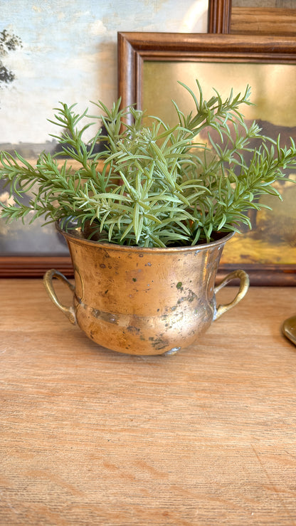 Solid Brass Footed Pot w/ Plant