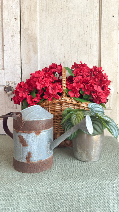 Vintage Rusted Watering Can