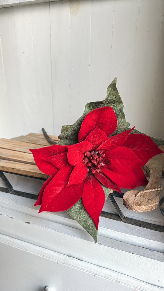 Red Poinsettias Stems