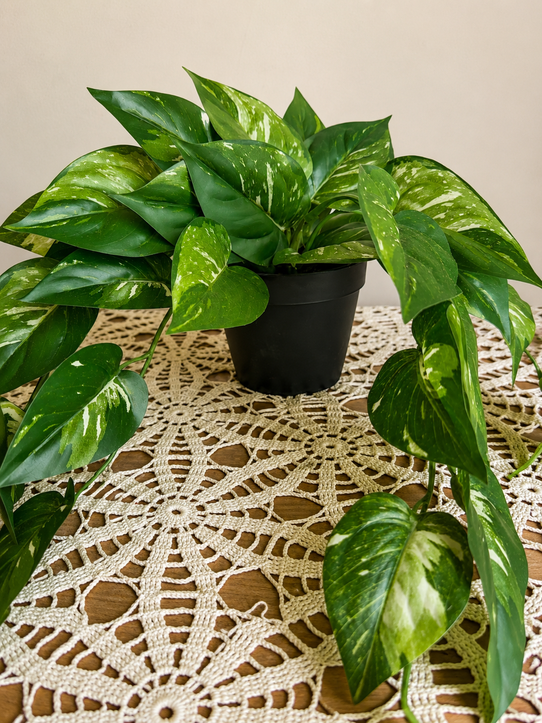 Potted Faux Pothos Plant