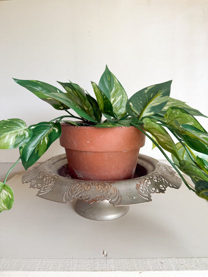 Silver Footed Bowl