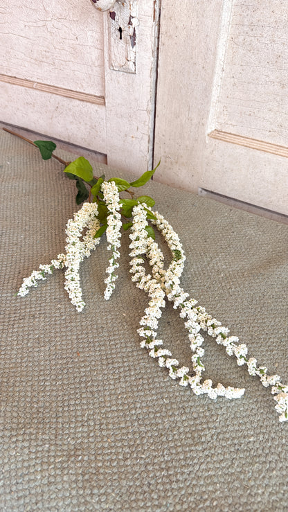 Cream Amaranthus Stem