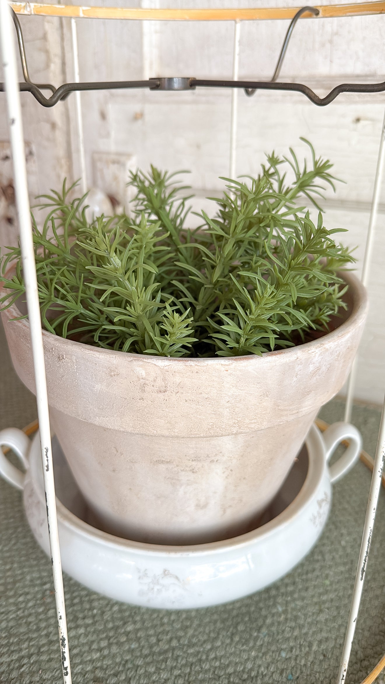 8" Aged Terracotta Pot w/ Faux Plant