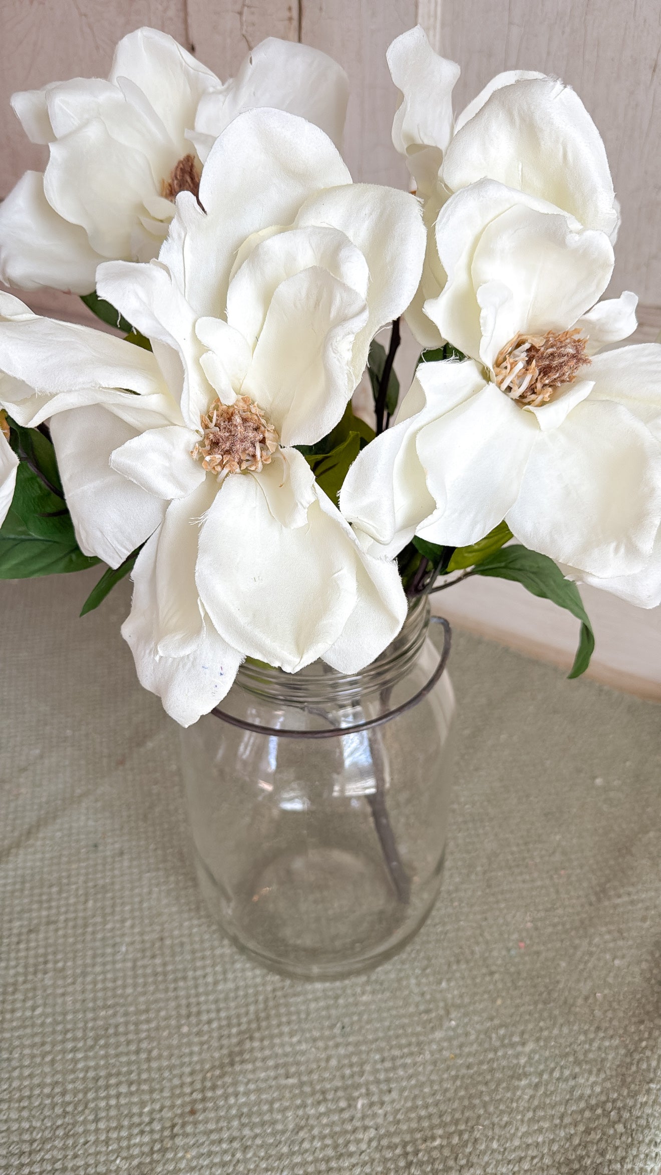 Magnolia Bush Bundle