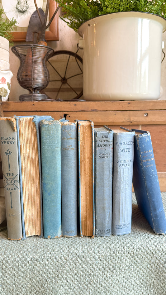 Blue Books