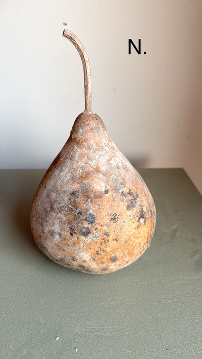 7” Tall Dried Gourd