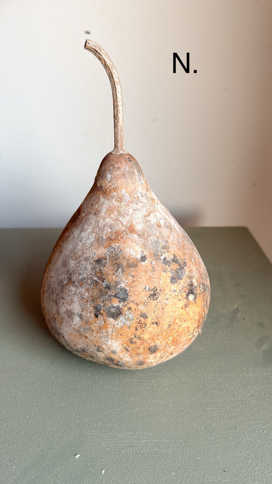 7” Tall Dried Gourd