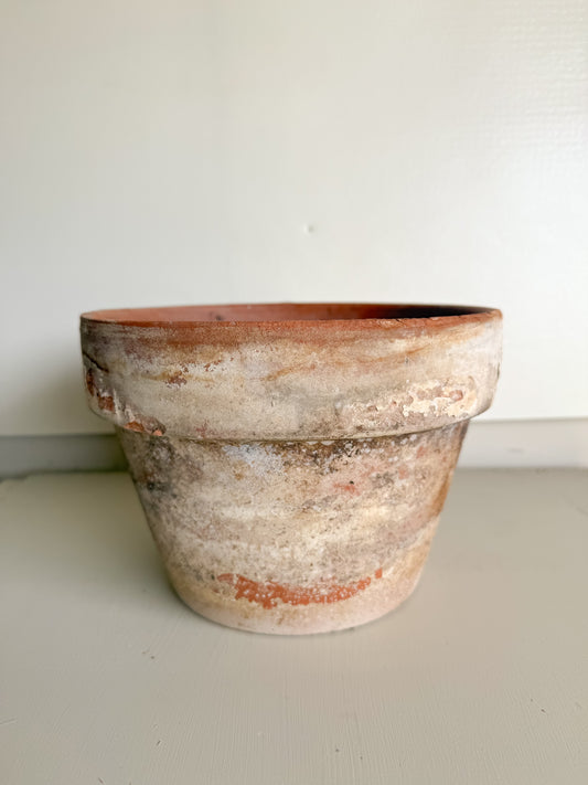 6” Tall Aged Terracotta Pot