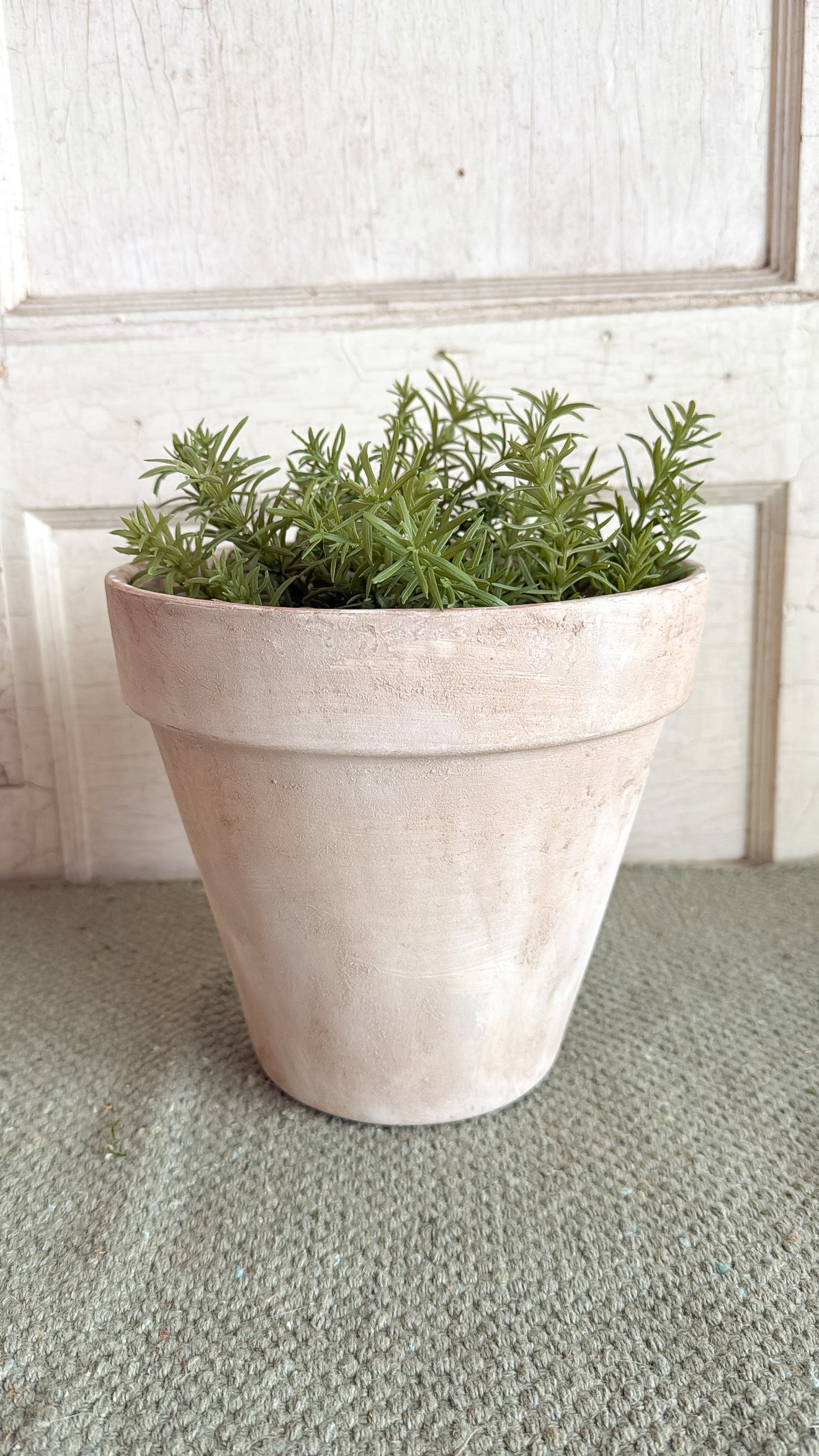 8" Aged Terracotta Pot w/ Faux Plant