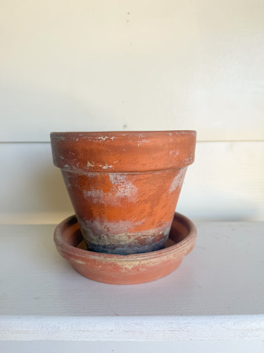 5.75” Tall Aged Terracotta Pot w/ Saucer