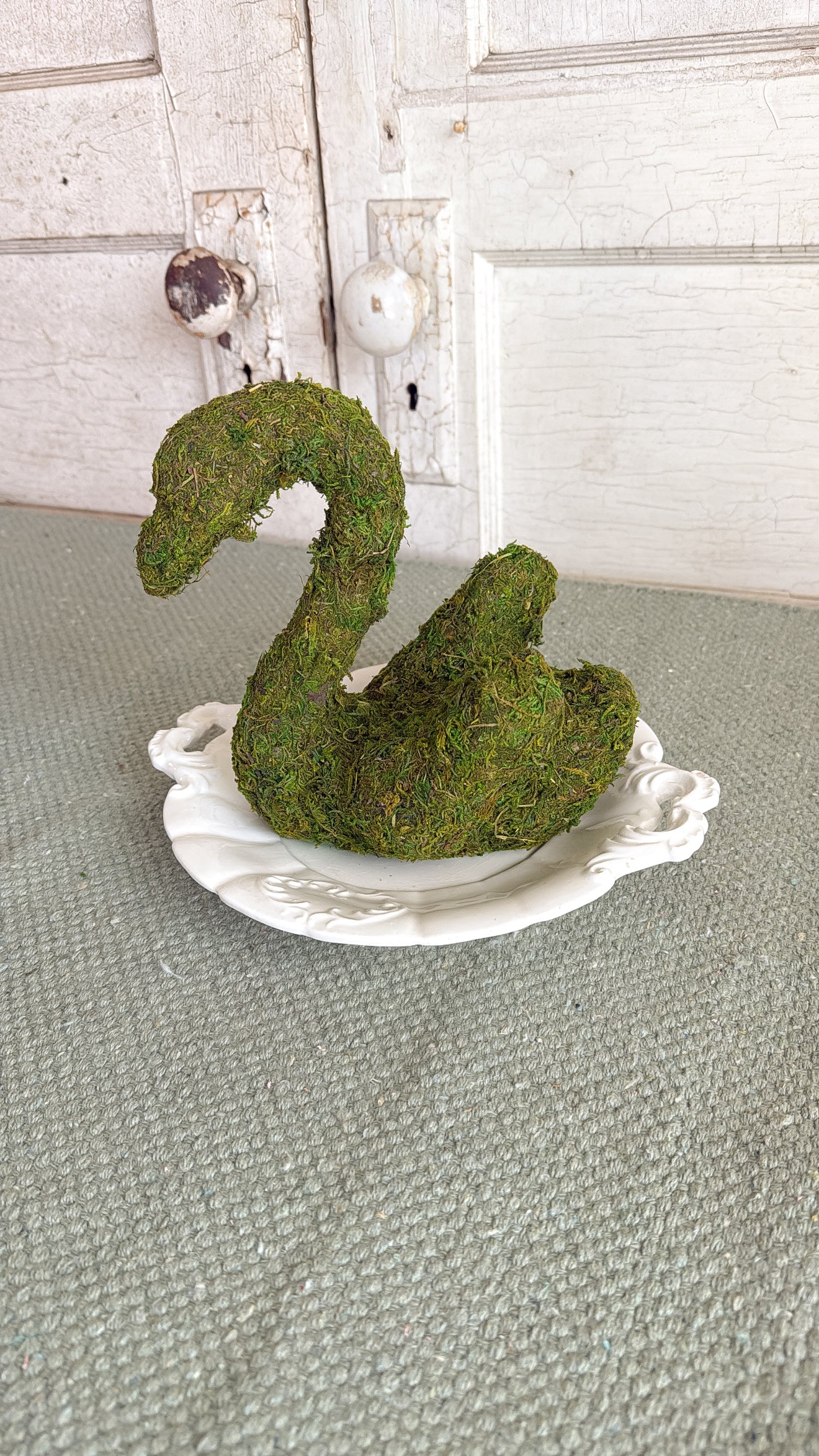 Moss Swan