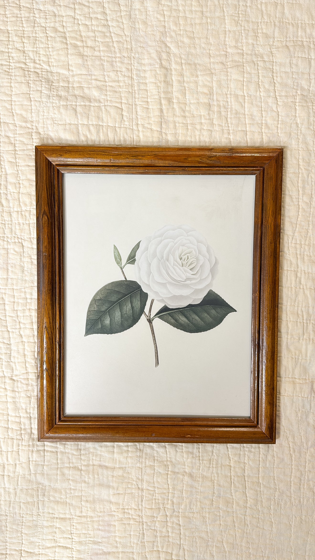 Vintage White Rose Print