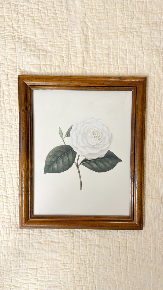 Vintage White Rose Print