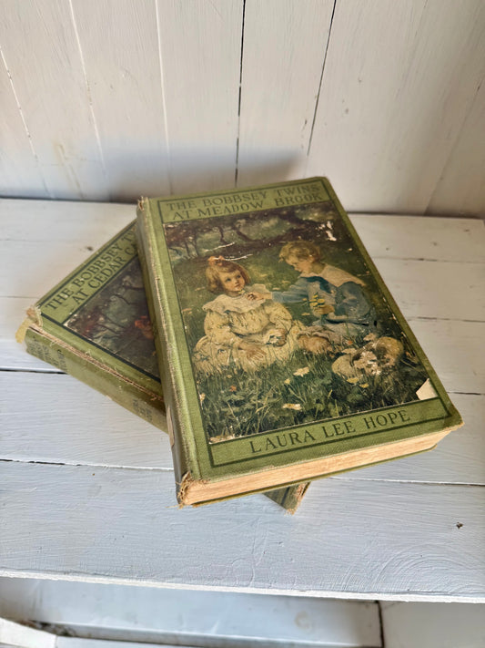 Pair of Old Vtg. Green Books