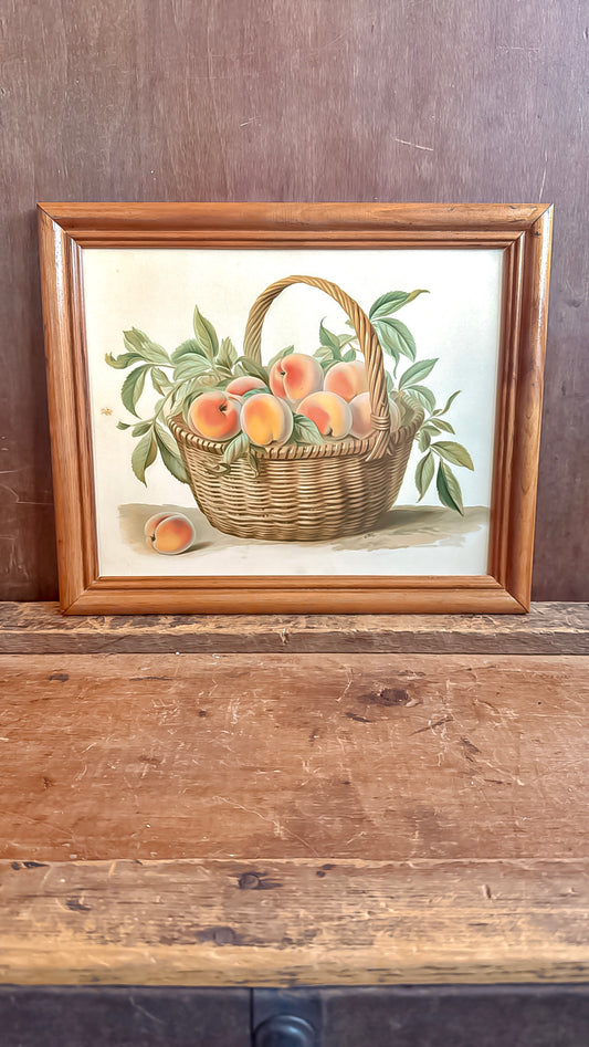 Basket of Peaches