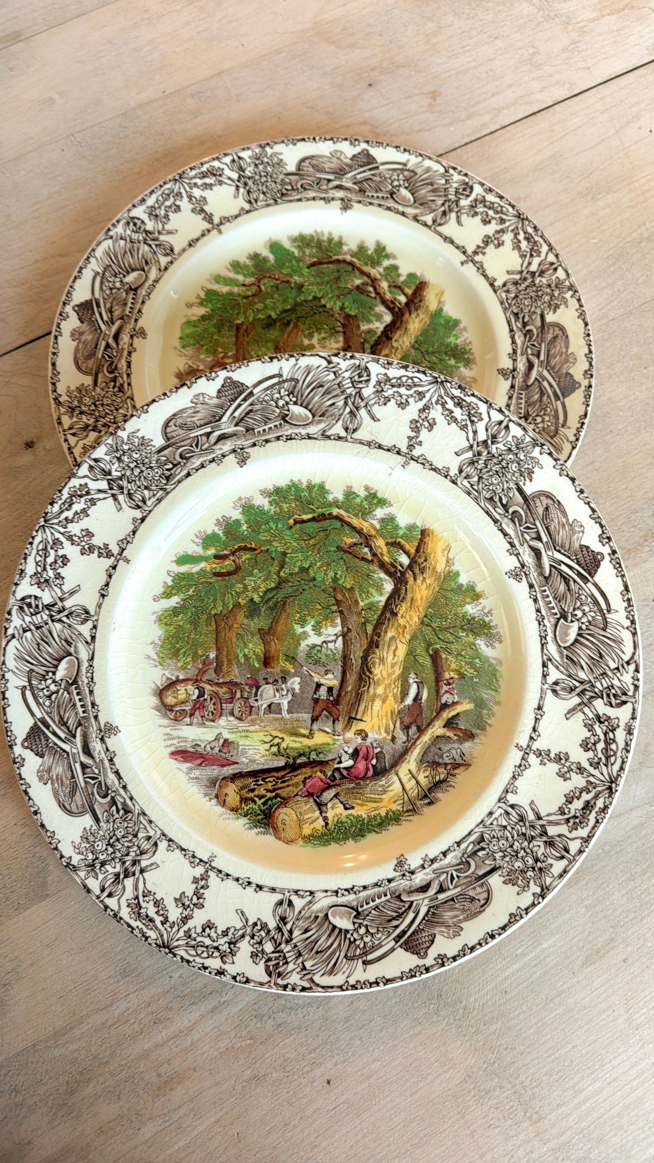 10” Set of 2 ‘Rural Scene’ Ironstone Plates
