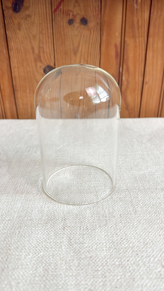 Small Glass Cloche