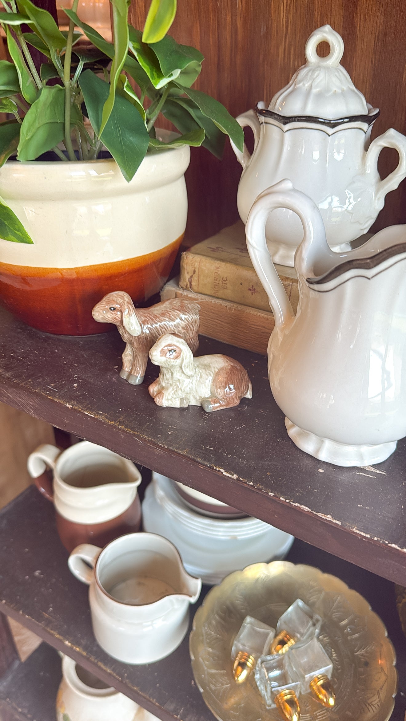 Mini Goat S&P Shakers