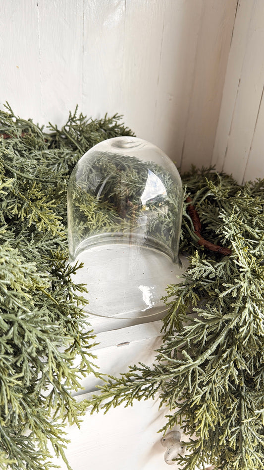 Glass Cloche