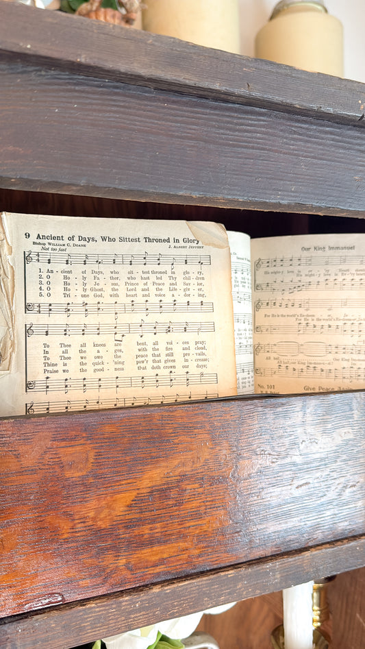 Set of 2 Old Church Hymnals