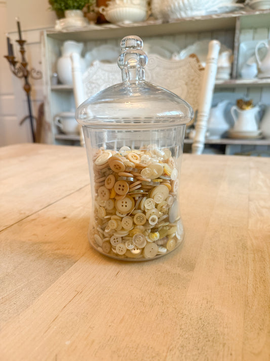 9” Tall Glass Apothecary
