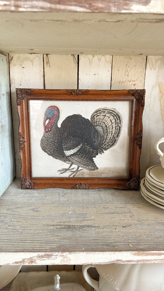 11”x13” Vintage Turkey Print
