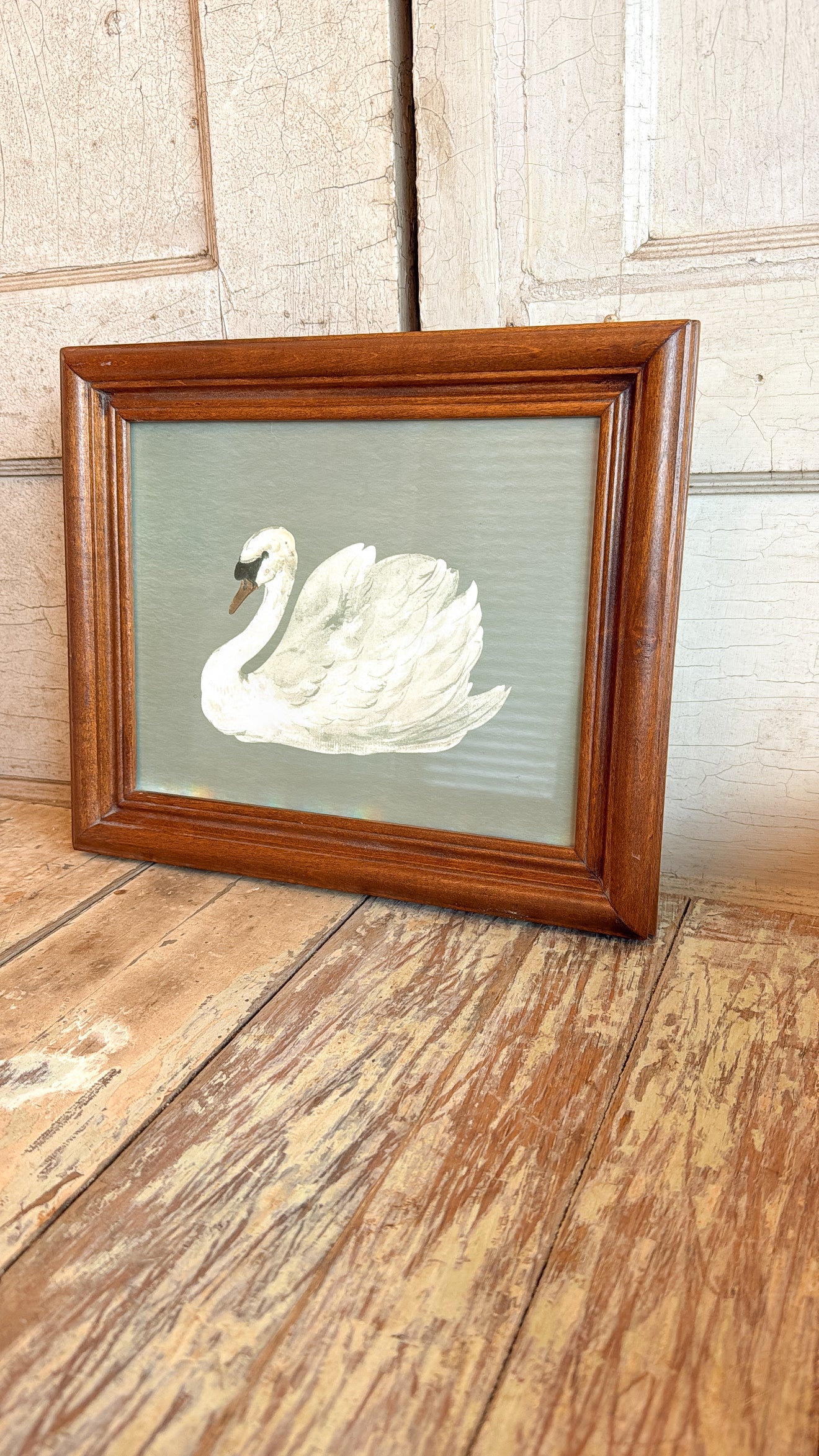 Swan with Sage Print