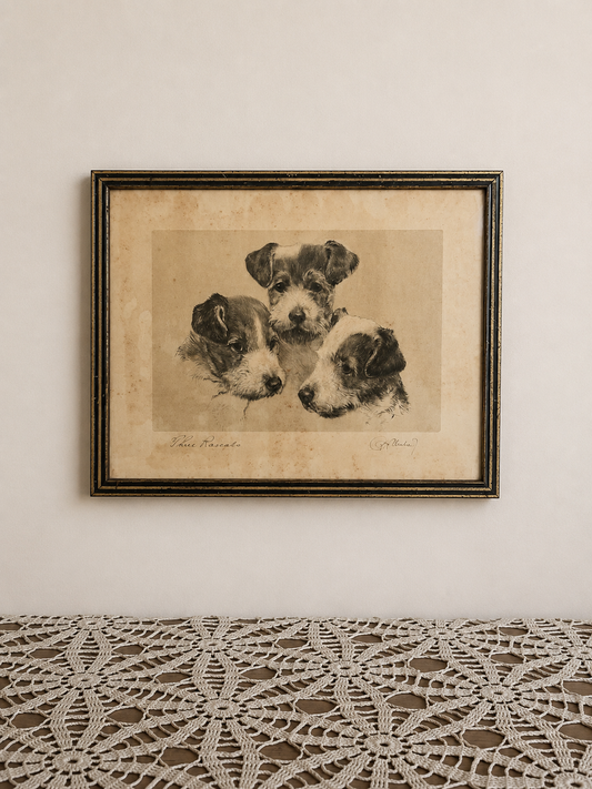 Vintage Puppies Picture