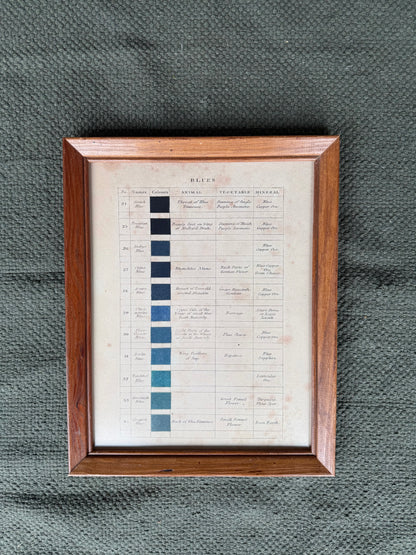 11x14 Vtg. Nature Blue Print