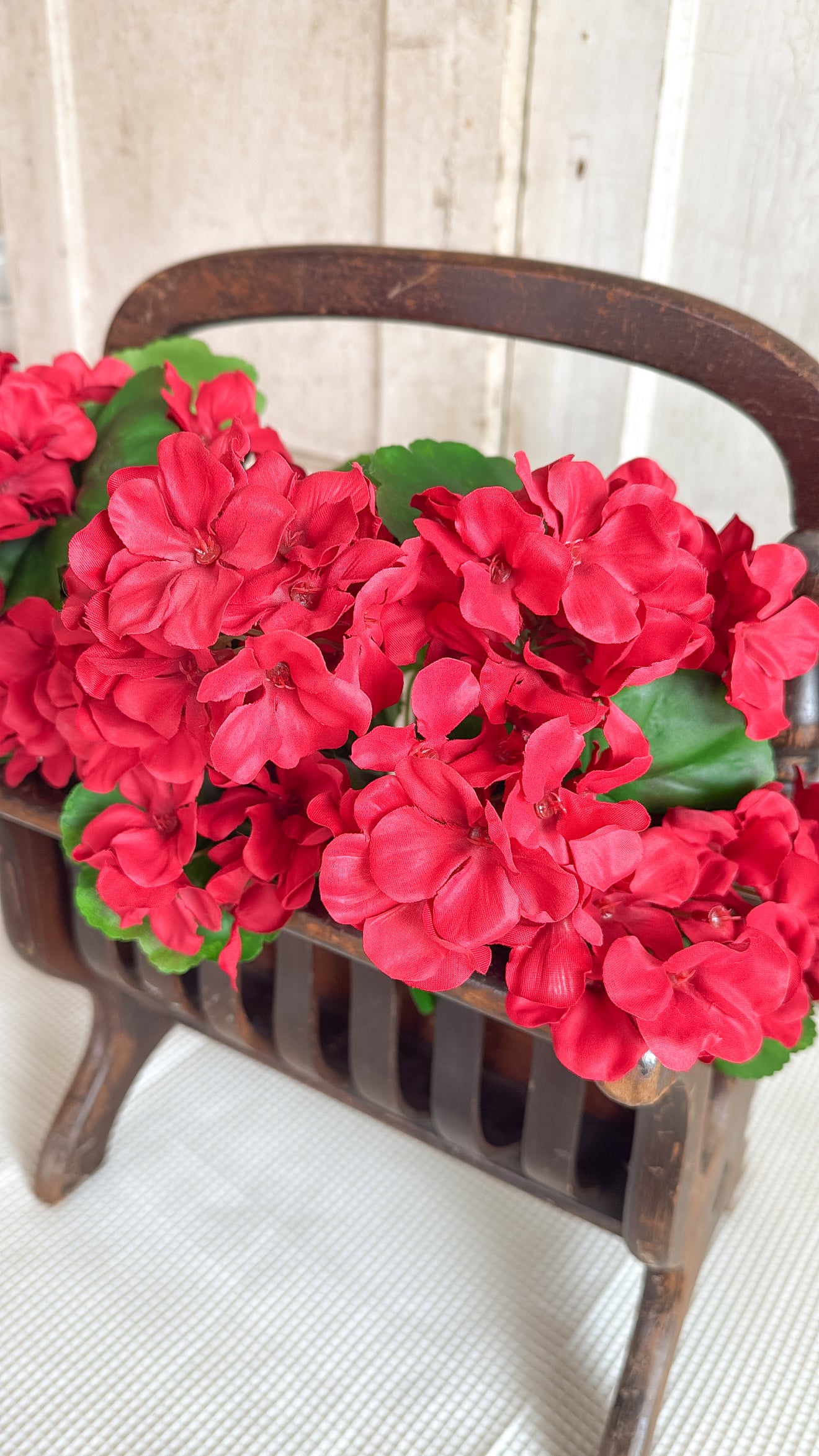 Red Geranium Bush