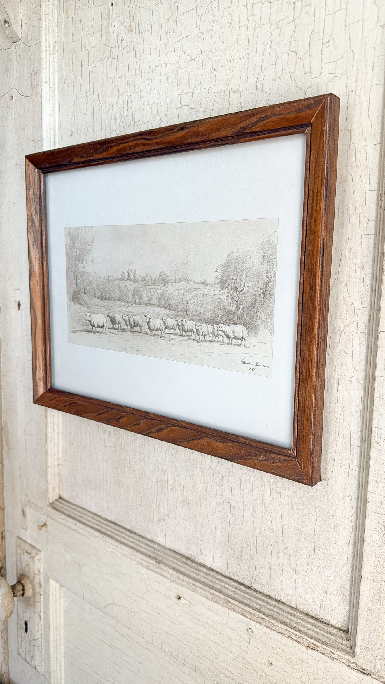 Vintage Herd of Sheep Print